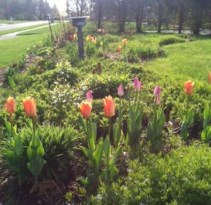 29496859_2088590314488793_5910931767409246208_n(1)